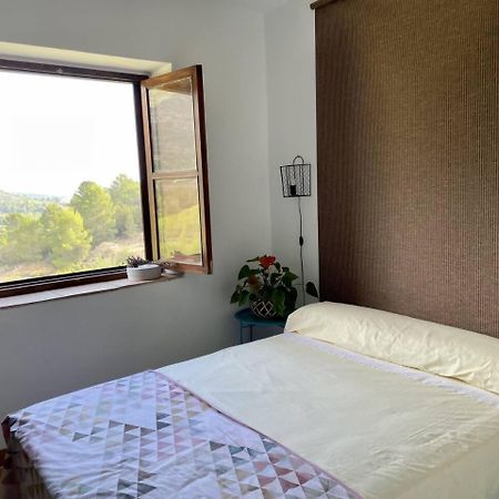 Eco Maset Alojamiento Rural Rodeado De Naturaleza Ayelo de Malferit Kültér fotó